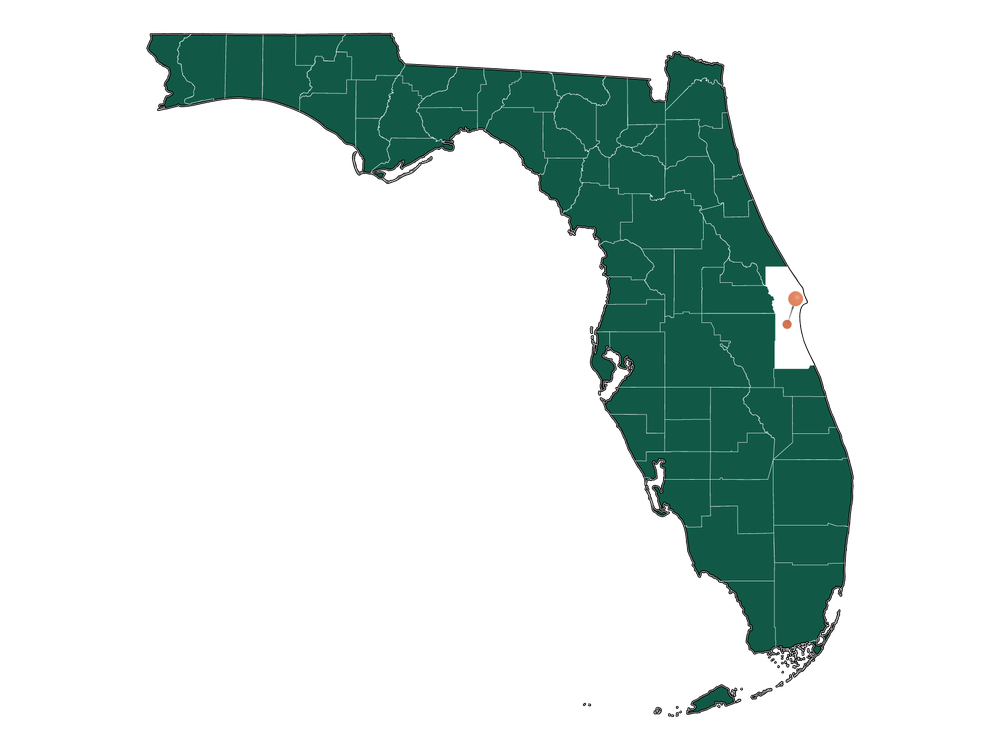 Infrastructure in Viera West, Florida