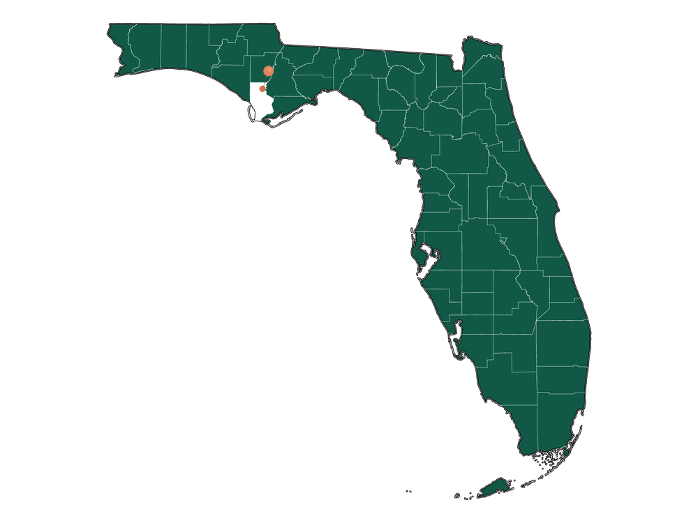 Unlocking Wewahitchka, FL Living Pros and Cons Dwellics