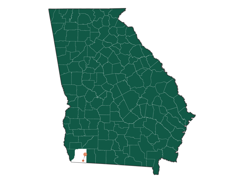 Moving to Attapulgus, in 2023