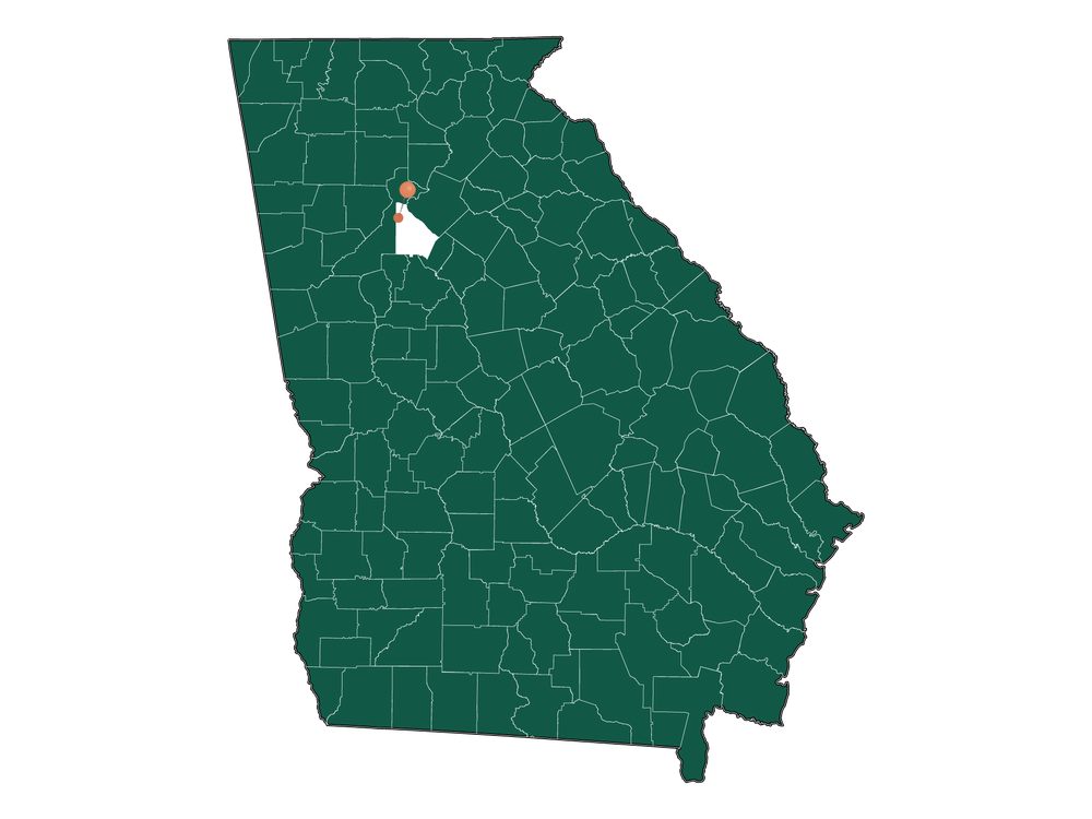 Safety In Brookhaven, Georgia (crime Rates And Environmental Hazards)