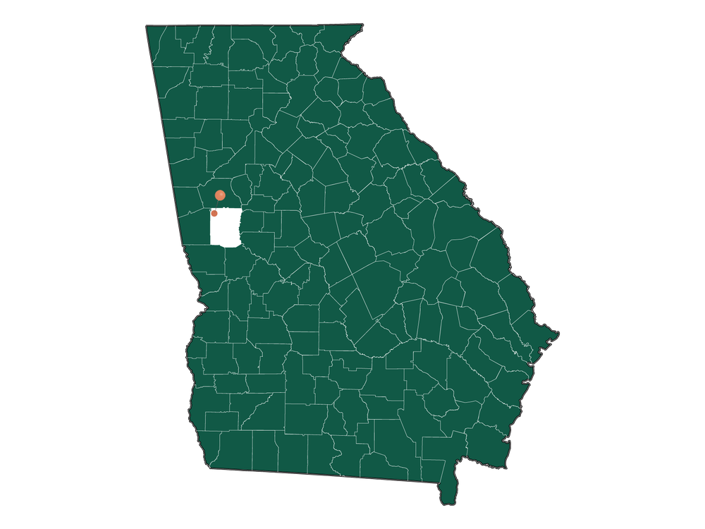 Cost of living in Lone Oak, Georgia (Average Prices in Lone Oak 2023)