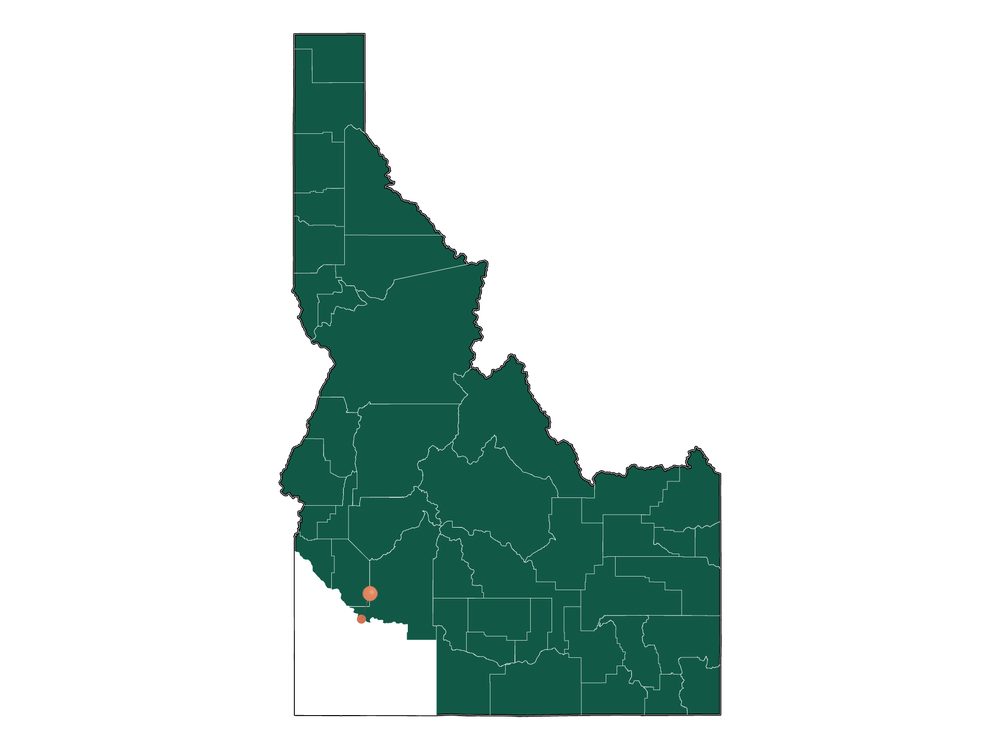 Moving to Grand View, Idaho in 2023