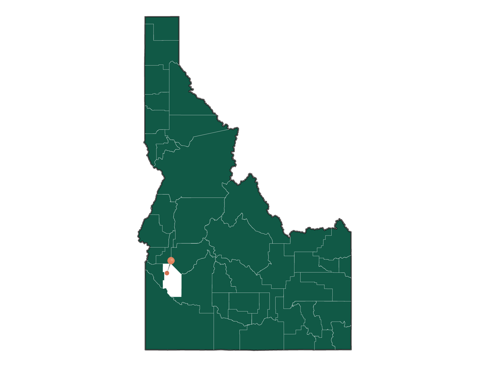 Population In Meridian, Idaho Demographics)