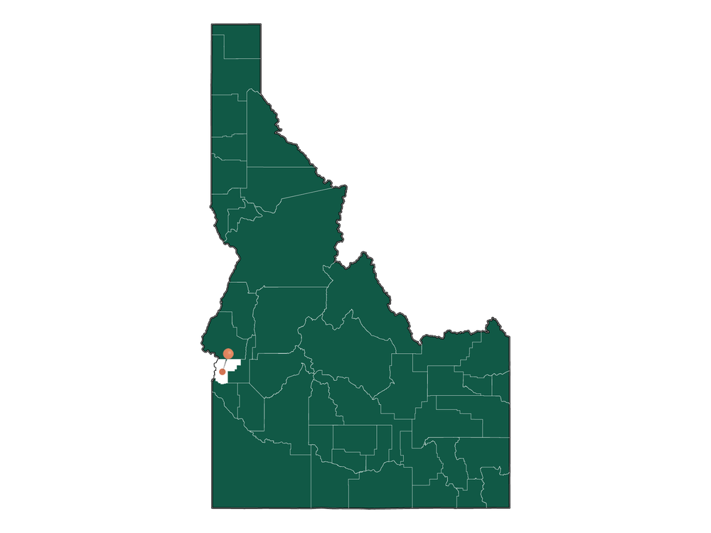 Moving to New Plymouth, Idaho in 2023