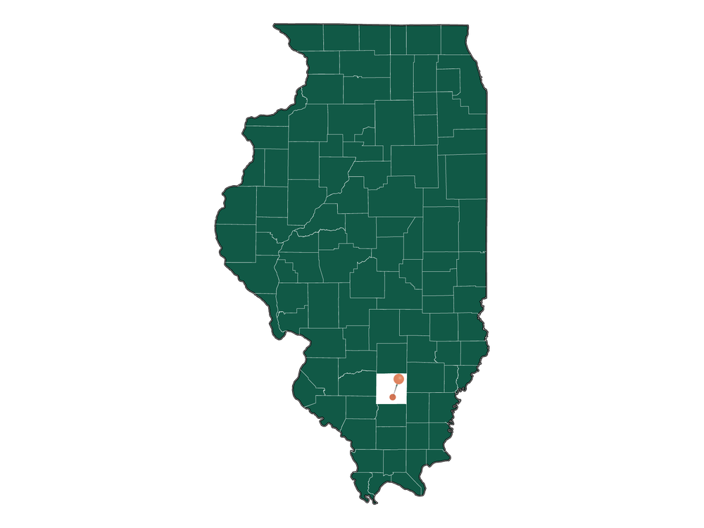 Cost of living in Bonnie, Illinois (Average Prices in Bonnie 2023)