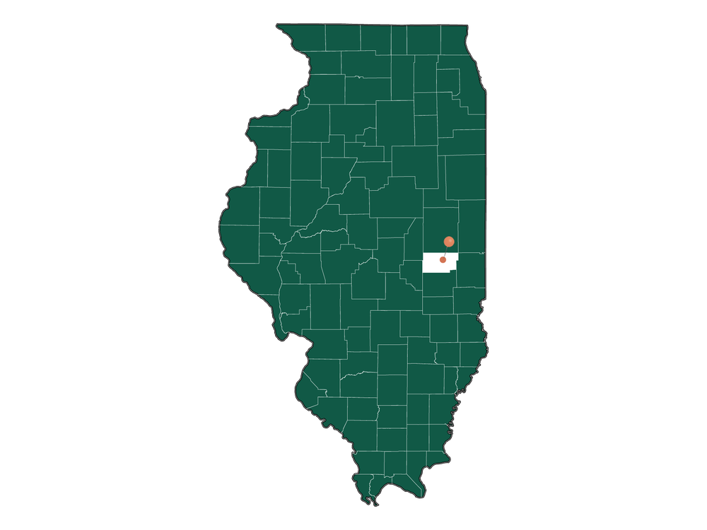 Cost of living in Camargo, Illinois (Average Prices in Camargo 2023)