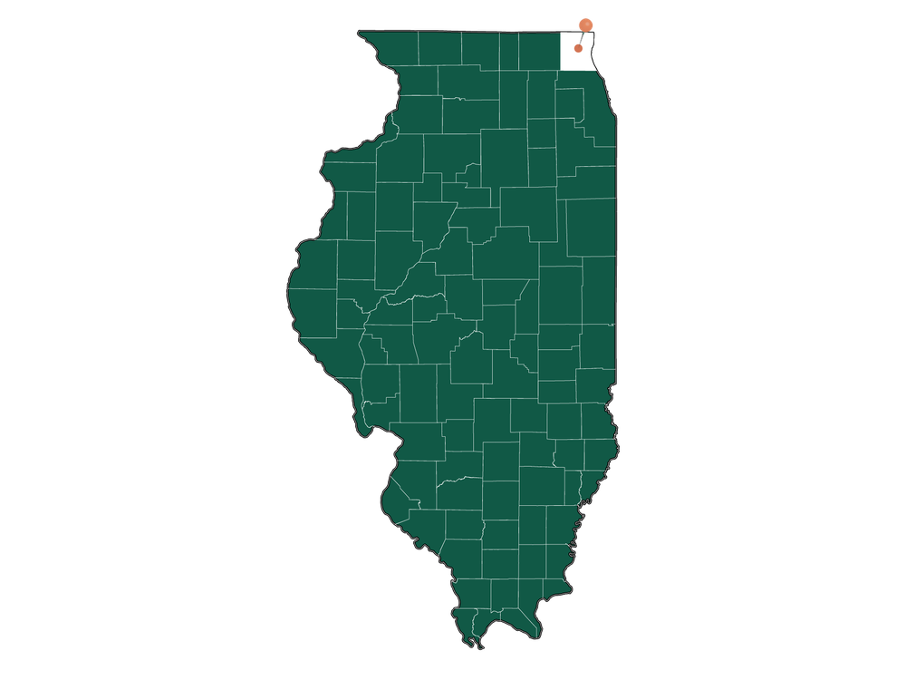 Moving to Gages Lake, Illinois in 2023