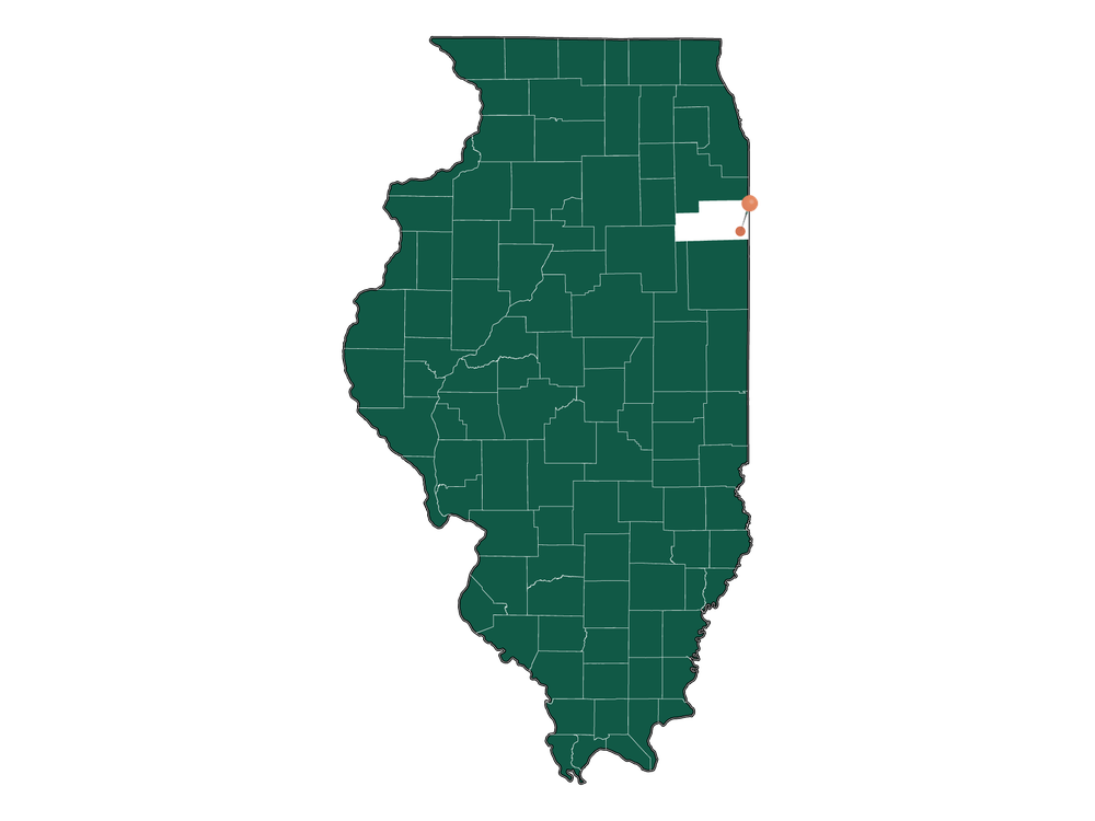 Moving to Hopkins Park, Illinois in 2023