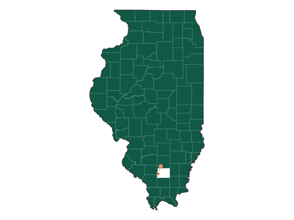 Infrastructure in Mulkeytown, Illinois