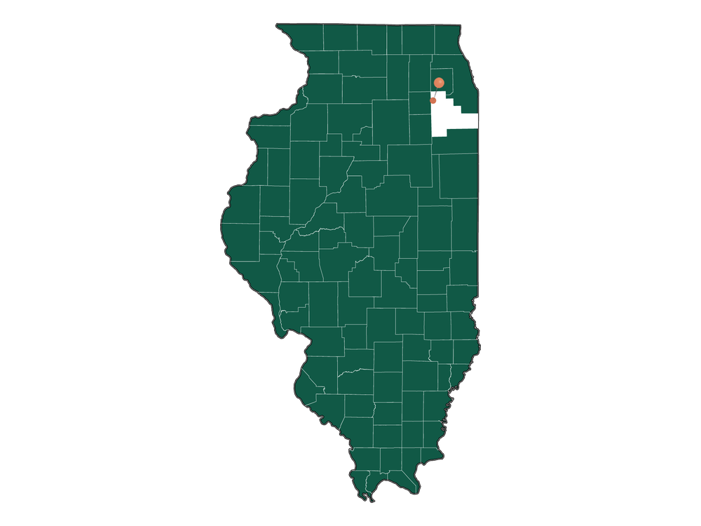 Population In Plainfield, Illinois Demographics)
