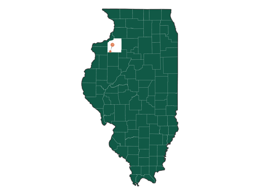 Moving to Woodhull, Illinois in 2023