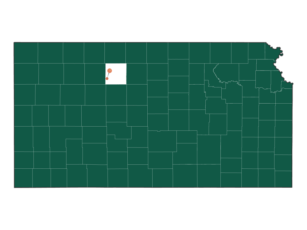 Cost of living in Palco, Kansas (Average Prices in Palco 2023)