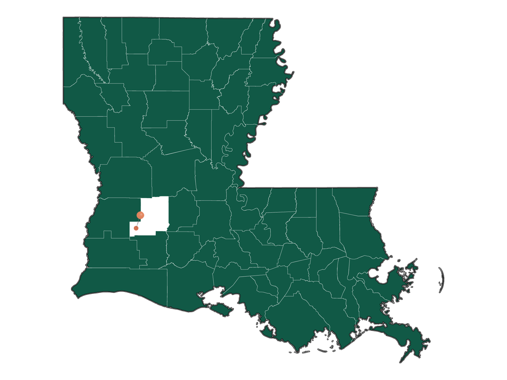 Schools in Reeves, Louisiana (Elementary, Middle и High Schools)