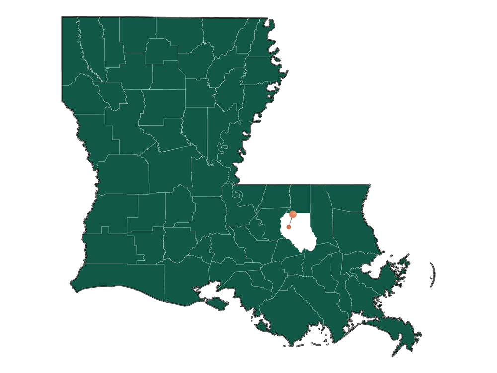 Schools in Walker, Louisiana (Elementary, Middle и High Schools)