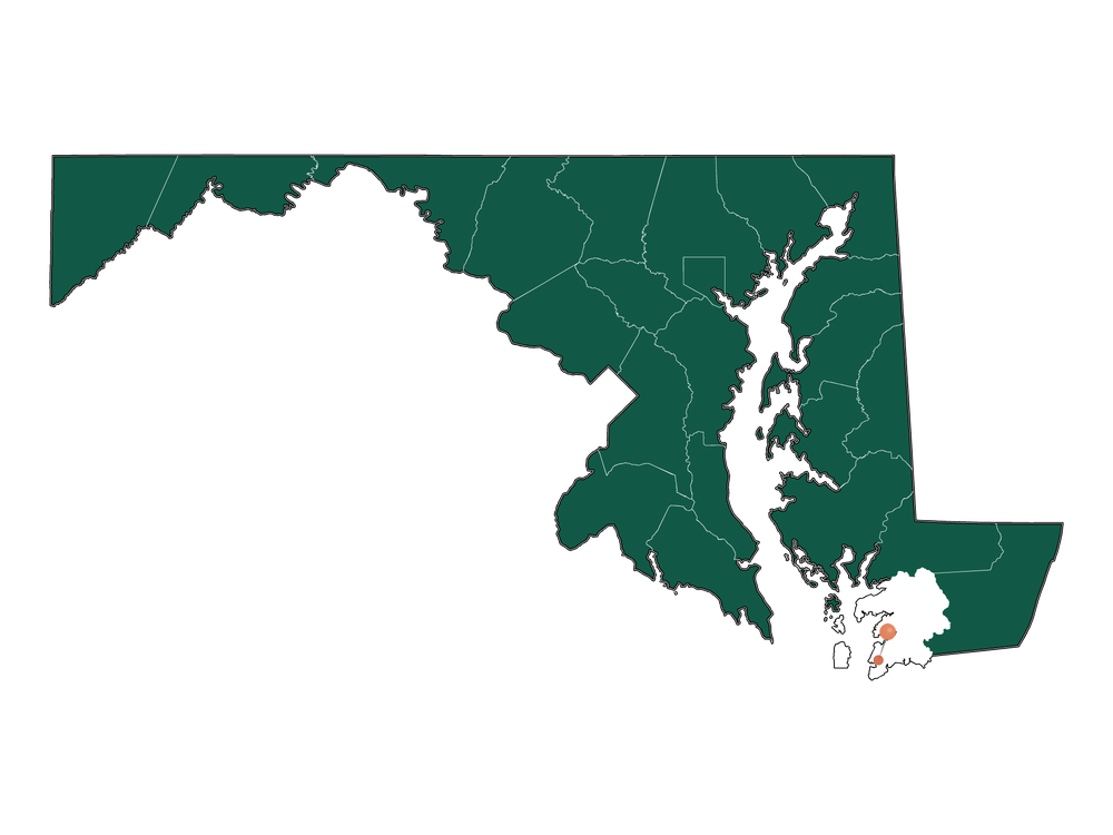 Climate in Crisfield, Maryland (Detailed Weather Information)