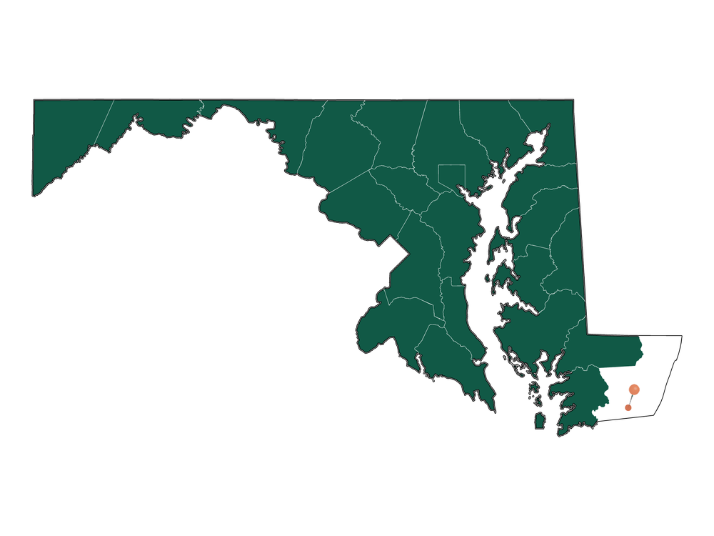 Zip Codes in Stockton, Maryland