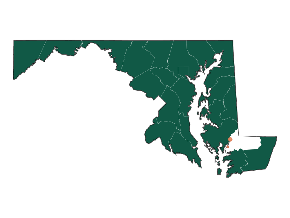 Infrastructure in Tyaskin, Maryland