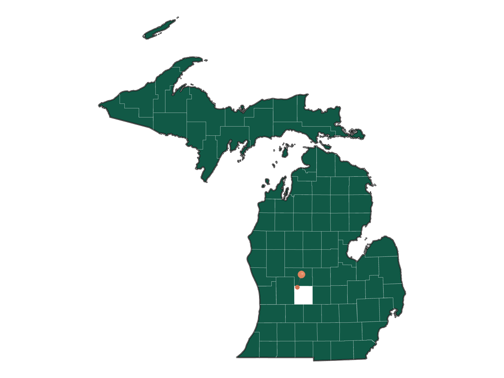 Safety in Belding, Michigan (crime rates and environmental hazards)