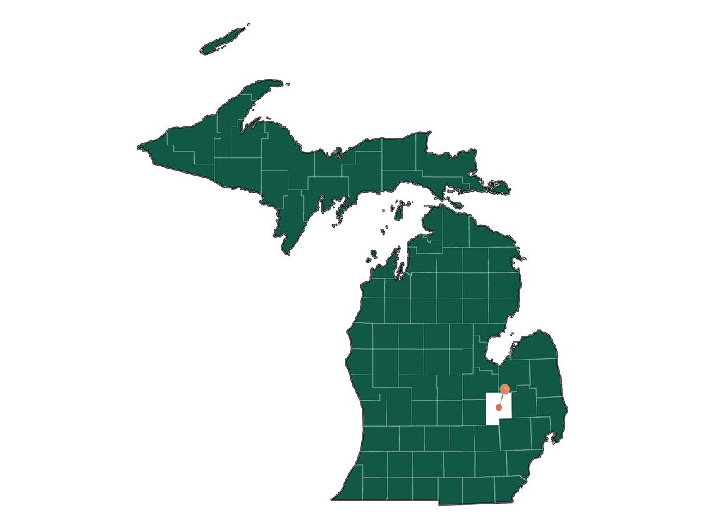 Safety in Flint, Michigan (crime rates and environmental hazards)