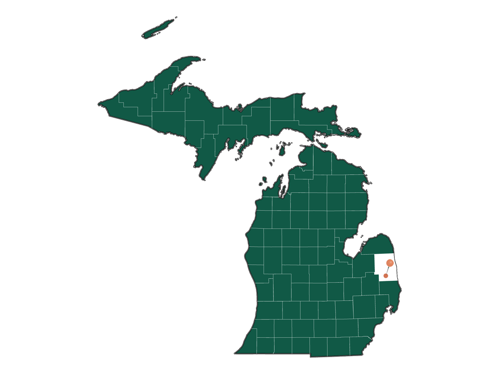 Moving to Peck, Michigan in 2023