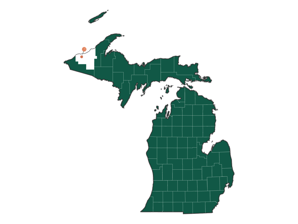 Moving to White Pine, Michigan in 2023