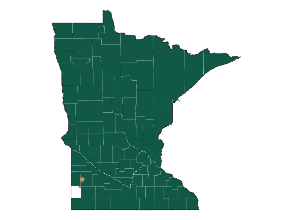 Infrastructure in Ruthton, Minnesota