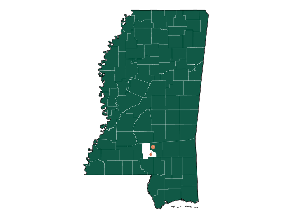 Pros and Cons of living in Bassfield, Mississippi