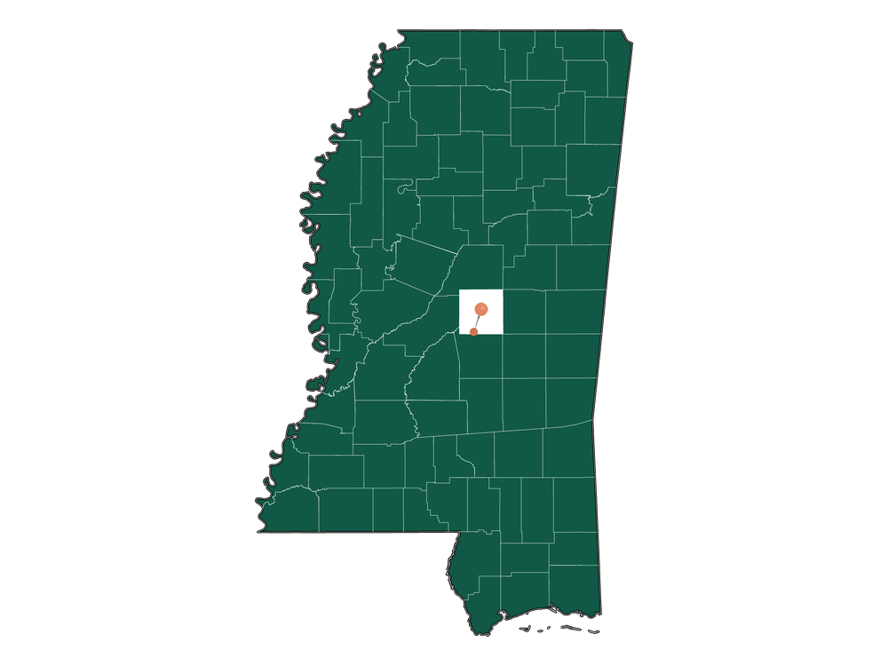 Cost of living in Lena, Mississippi (Taxes and Housing costs)