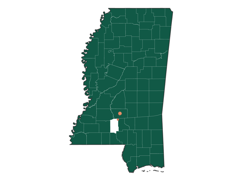 Climate in New Hebron, Mississippi (Detailed Weather Information)