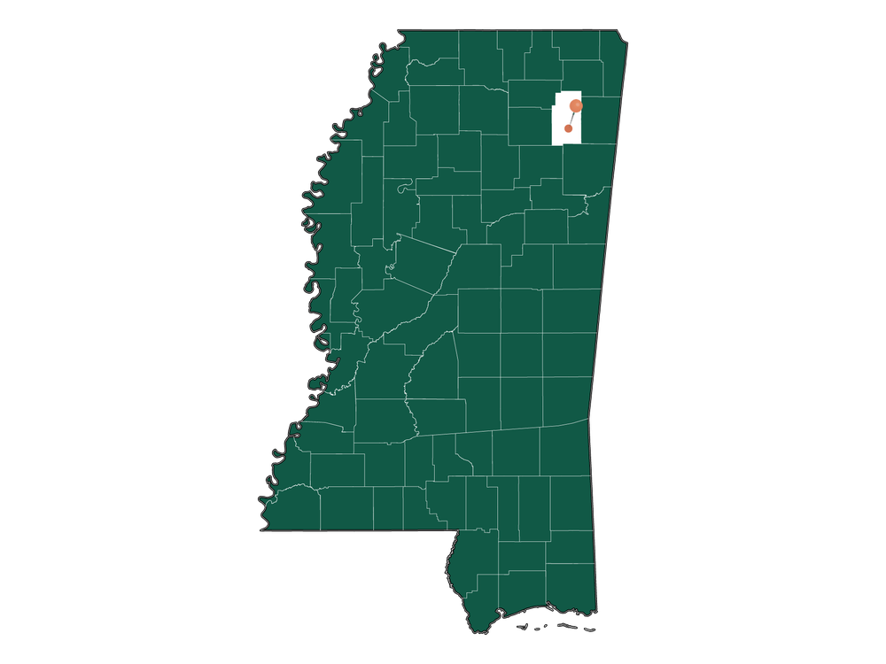 Moving to Plantersville, Mississippi in 2023