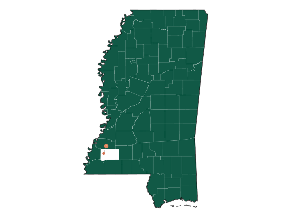 Safety in Roxie, Mississippi (crime rates and environmental hazards)