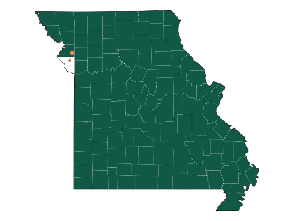 Cost of living in Camden Point, Missouri (Average Prices in Camden