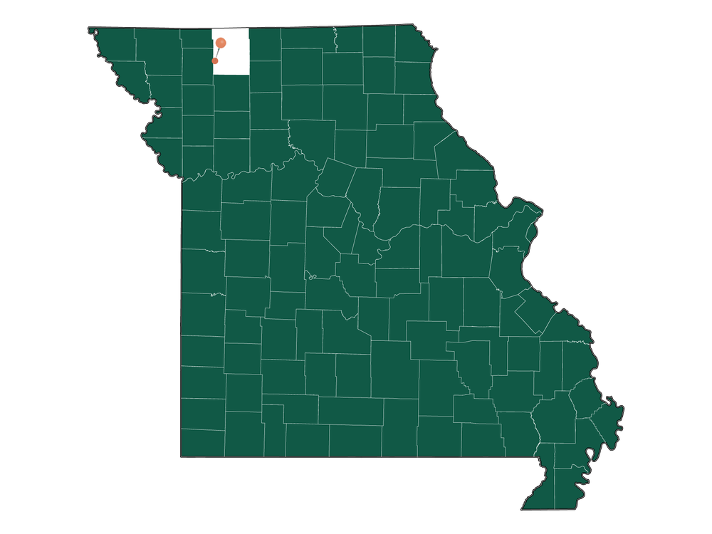 Population In New Hampton, Missouri Demographics)