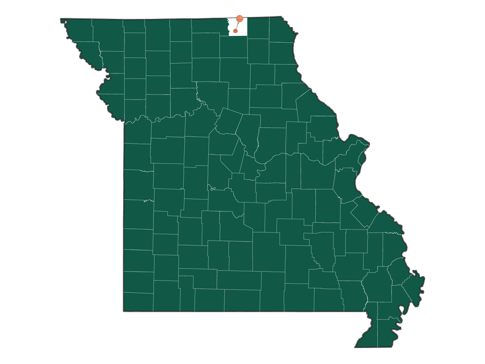 Unlocking Queen City, MO Living Pros and Cons Dwellics