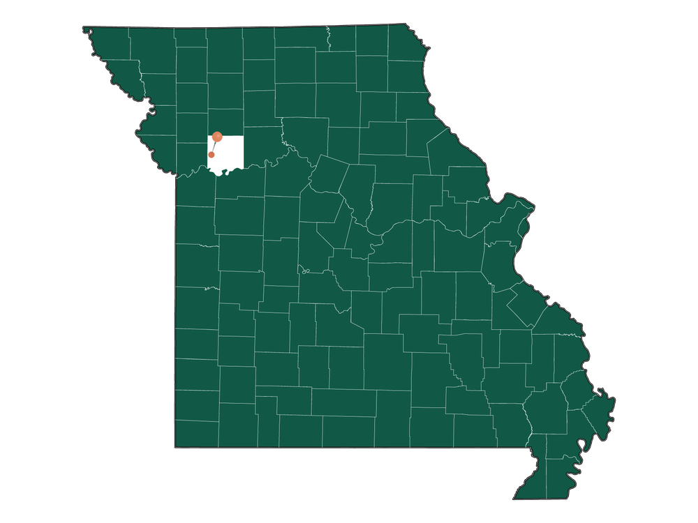 Moving to Wood Heights, Missouri in 2023