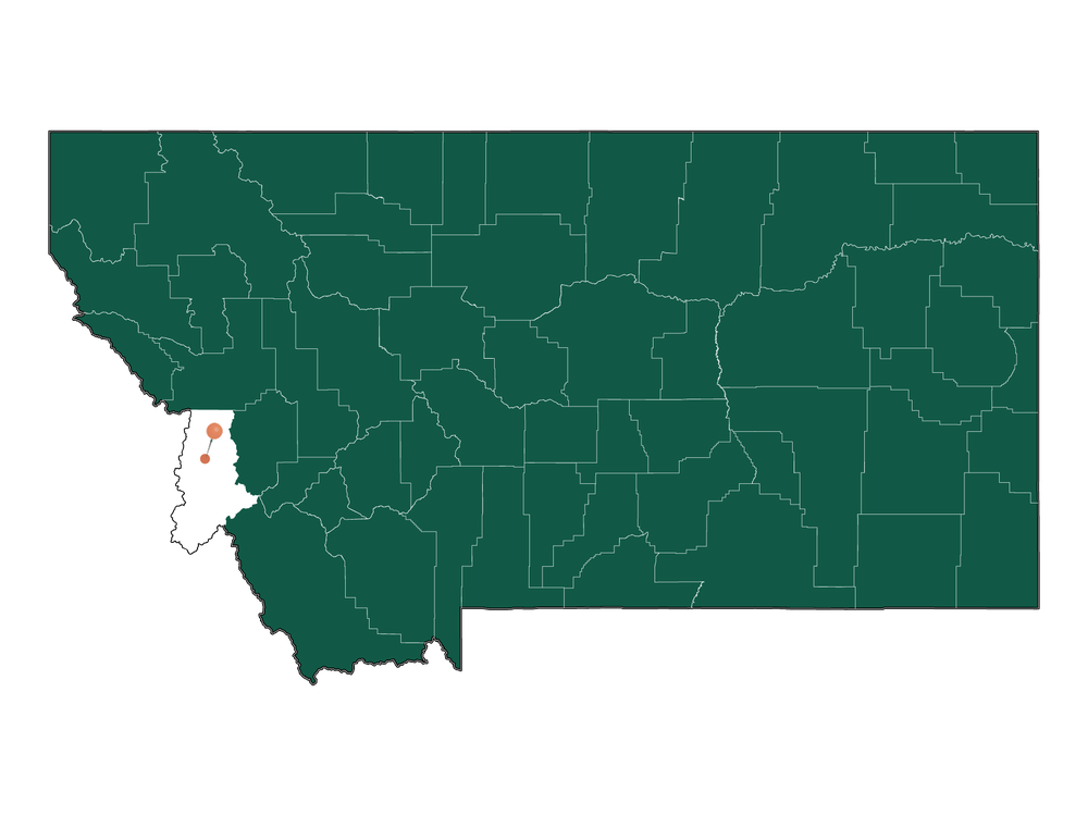 Cost of living in Hamilton, Montana (Average Prices in Hamilton 2024)