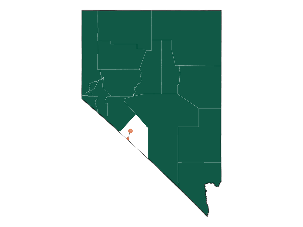 Safety in Dyer, Nevada (crime rates and environmental hazards)