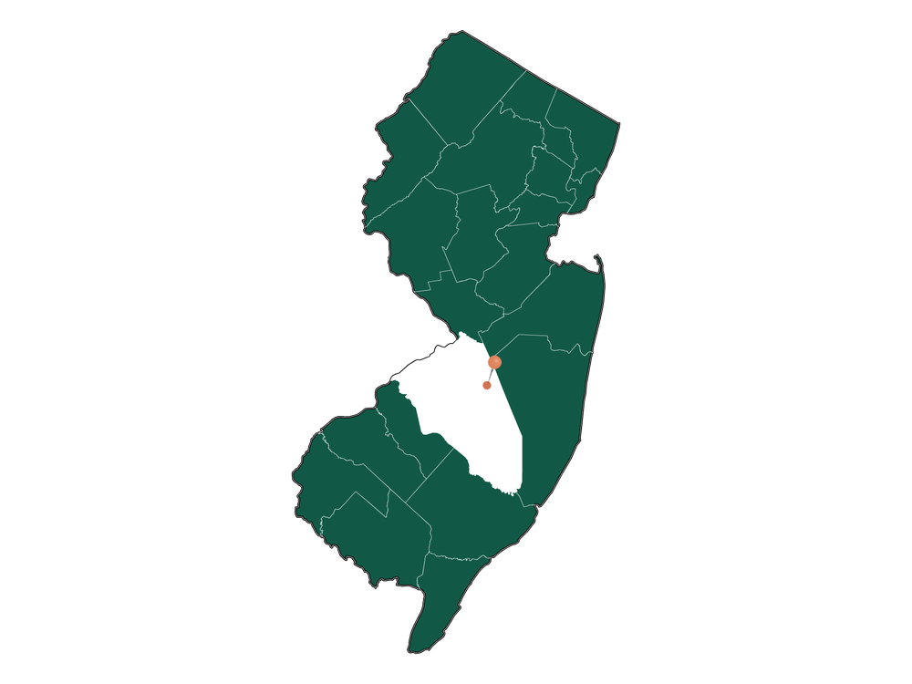 Safety in Browns Mills, New Jersey (crime rates and environmental hazards)