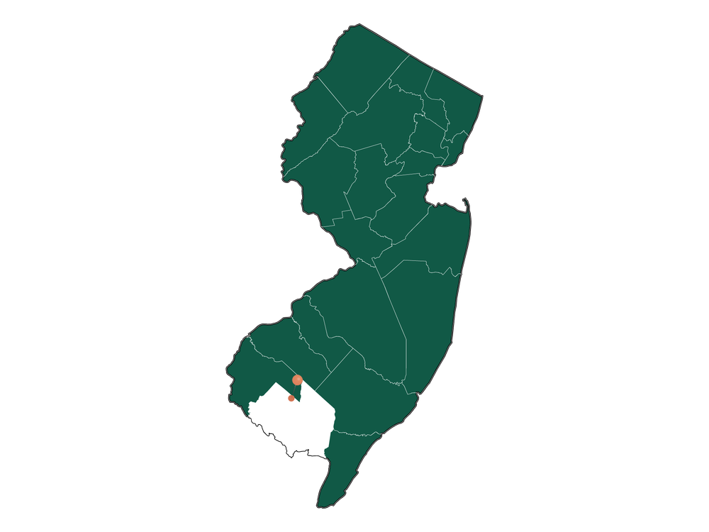 Moving to Rosenhayn, New Jersey in 2023