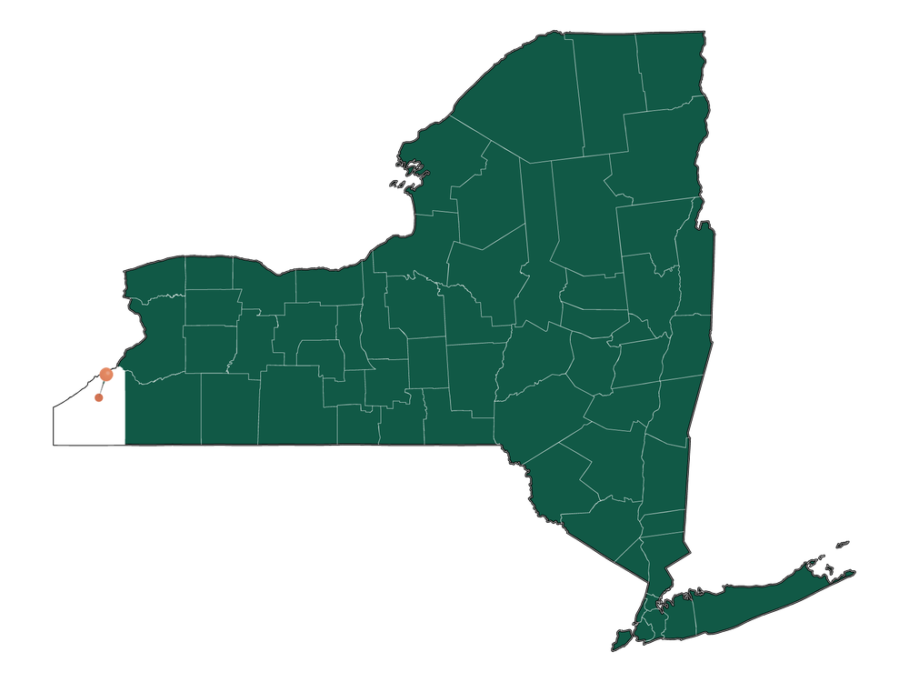 Moving to Cassadaga, New York in 2023