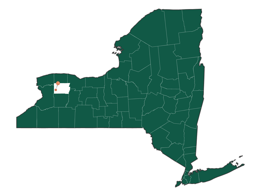 Cost of living in Corfu, New York (Average Prices in Corfu 2024)