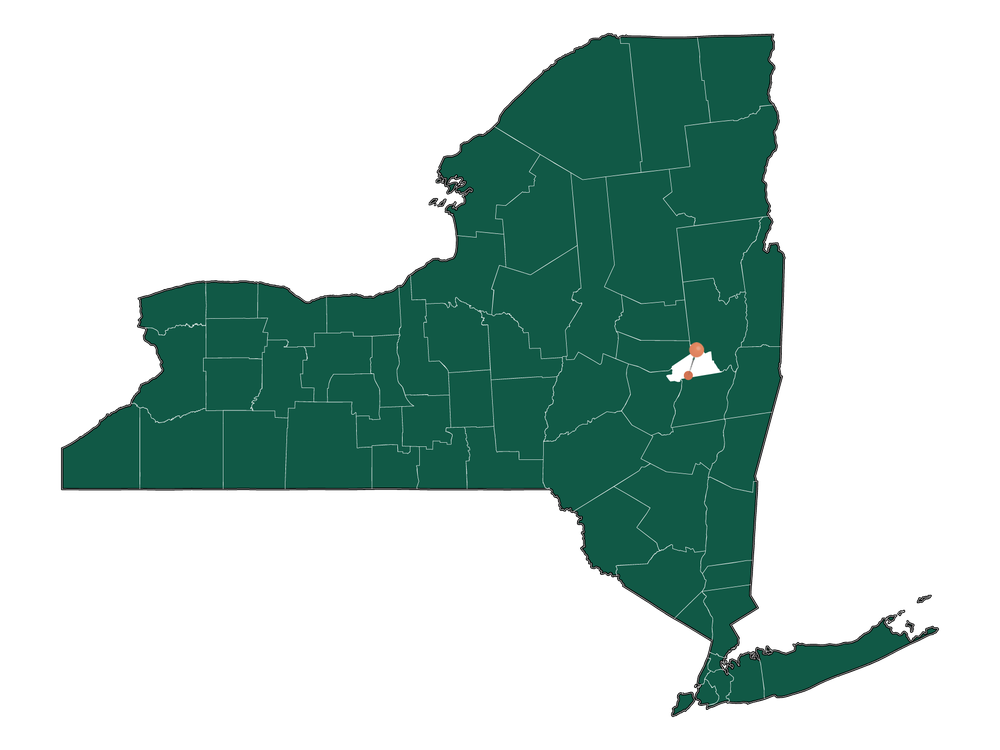 Unlocking Duane Lake, NY Living Pros and Cons Dwellics