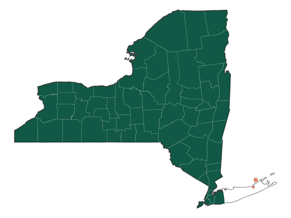 Moving to Laurel, New York in 2023