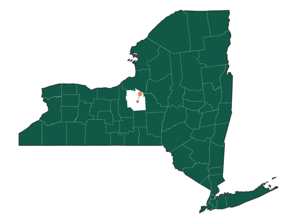 Moving to Nedrow, New York in 2023