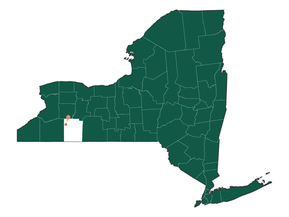 Population In Rushford, New York Demographics)