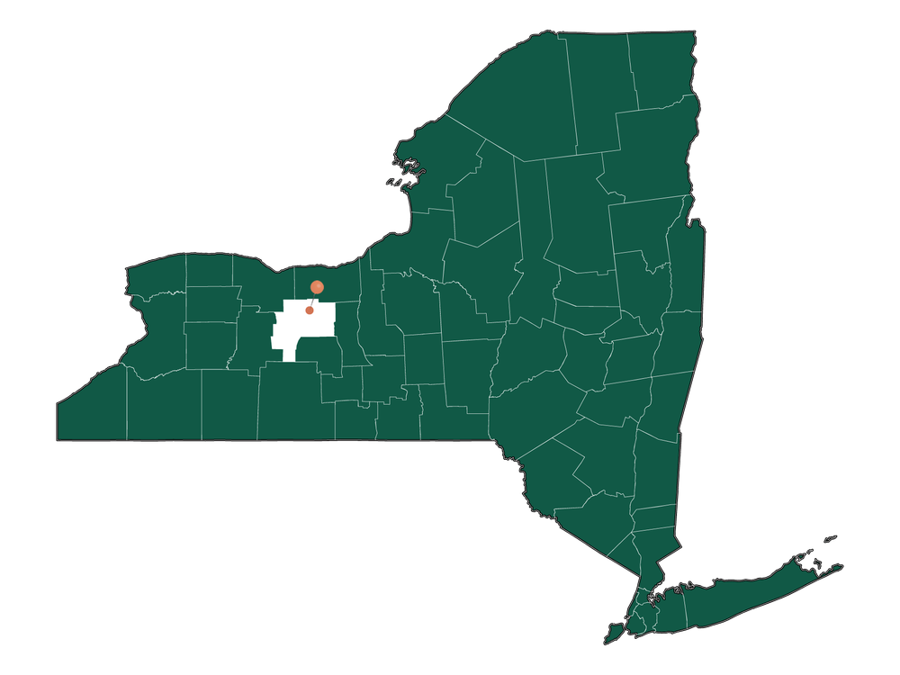 Population In Shortsville, New York Demographics)