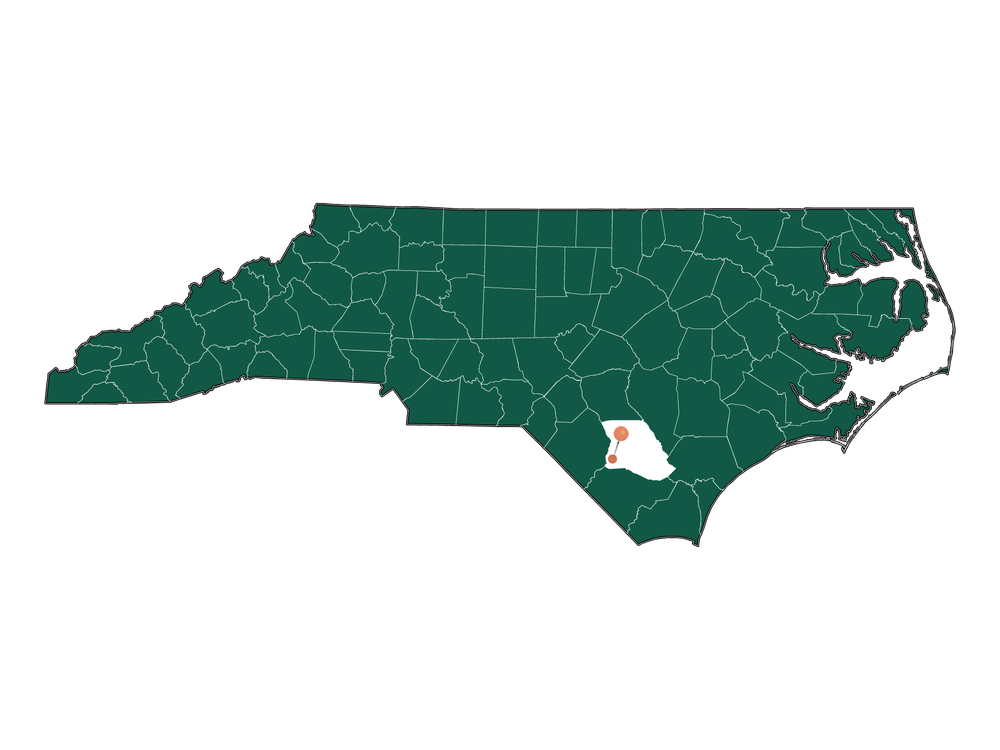 Safety in Bladenboro, North Carolina (crime rates and environmental