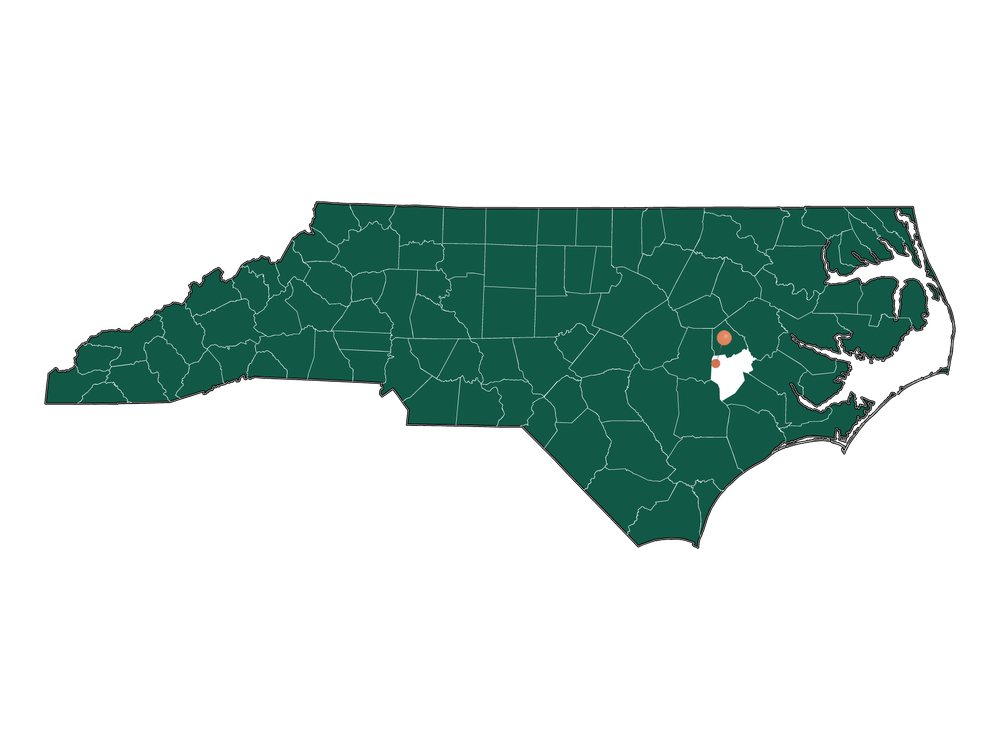 Climate in La Grange, North Carolina (Detailed Weather Information)