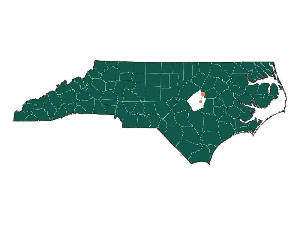 Moving to Pine Level, North Carolina in 2023
