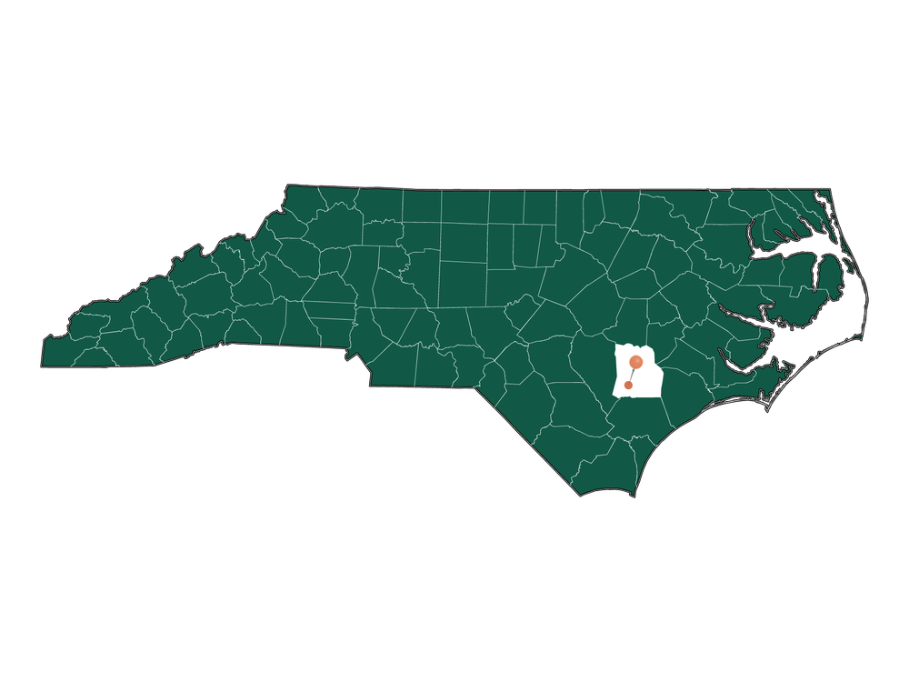 Population In Rose Hill, North Carolina Demographics)